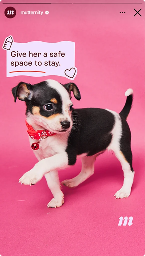 Meta ads ad for Mutternity - "Give her a safe space to stay"